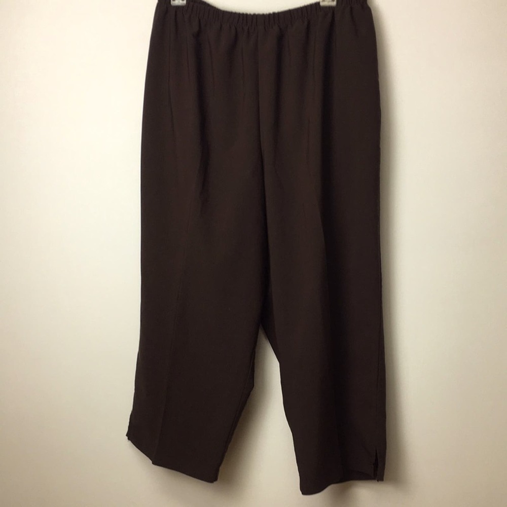 Belinda's woman's brown comfortable no-wrinkle machine-wash pants size large